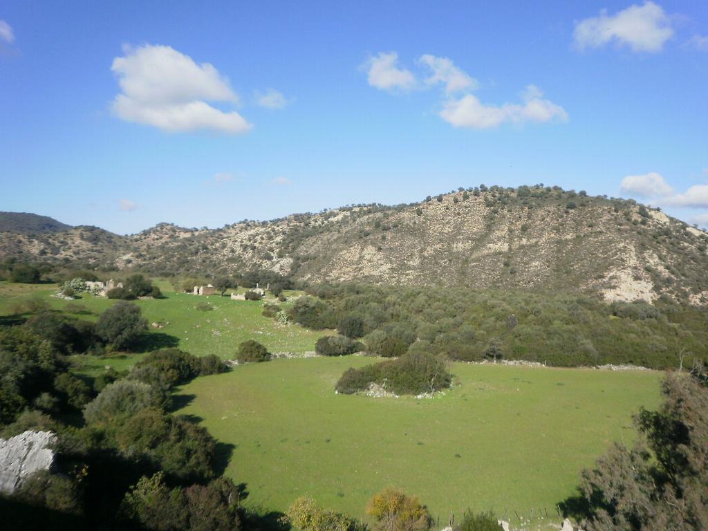Complejo Pueblo Blanco Hotel Olvera Kültér fotó