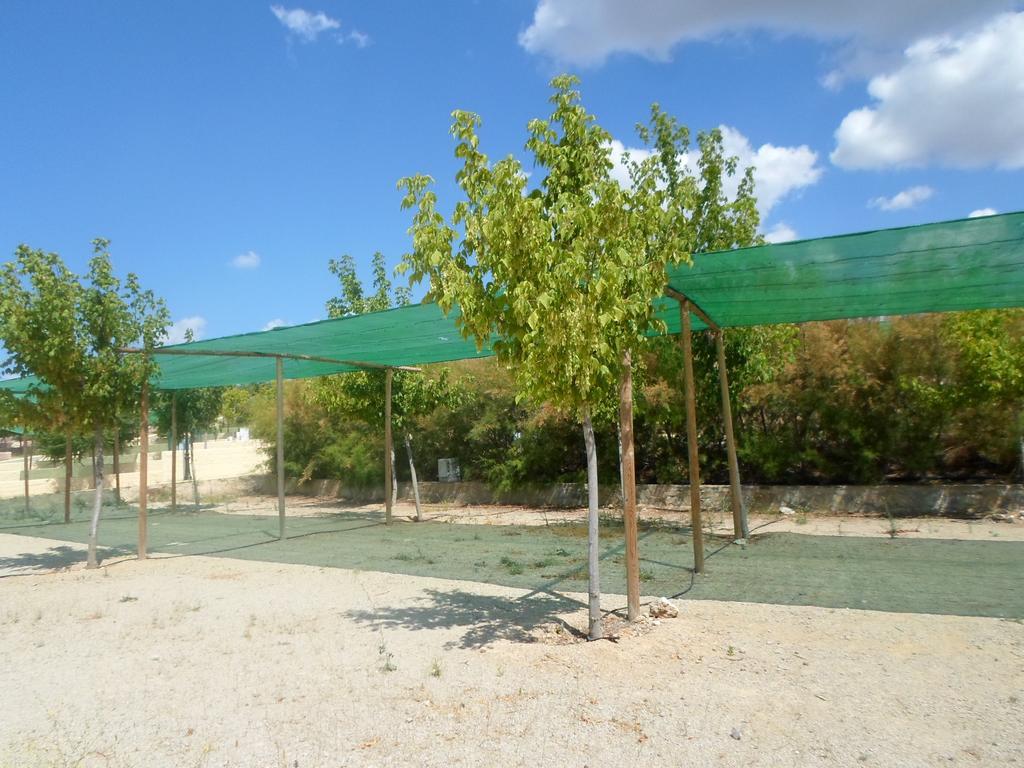 Complejo Pueblo Blanco Hotel Olvera Kültér fotó