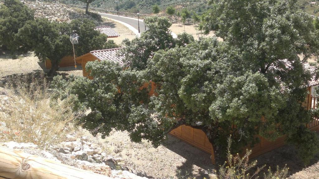 Complejo Pueblo Blanco Hotel Olvera Szoba fotó